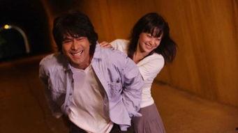 常开野蔷薇,自然之美与生命力的赞歌