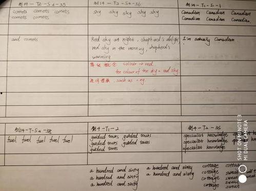 剧本大师的逆袭之路