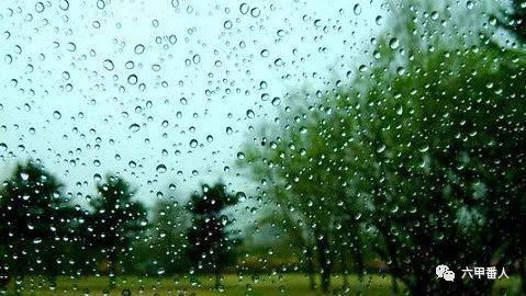 梧桐更兼细雨,诗意盎然的秋日画卷