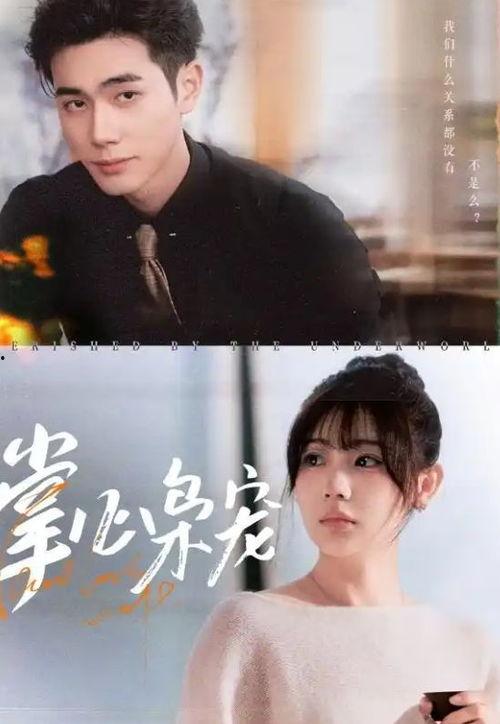 掌心枭宠,霸道总裁的甜蜜宠爱记